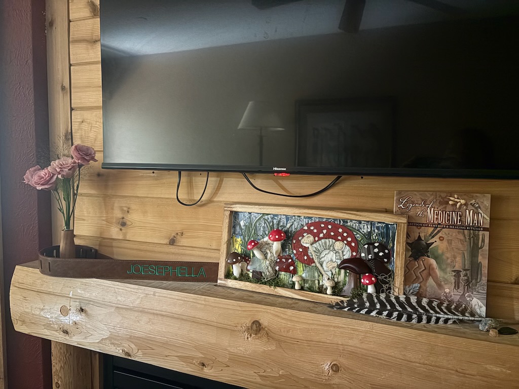 Grief Diary: Returning to Our Michigan Home